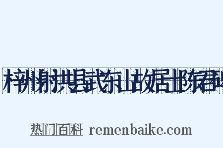 梓州射洪县武东山故居士陈君碑是什么意思的图片